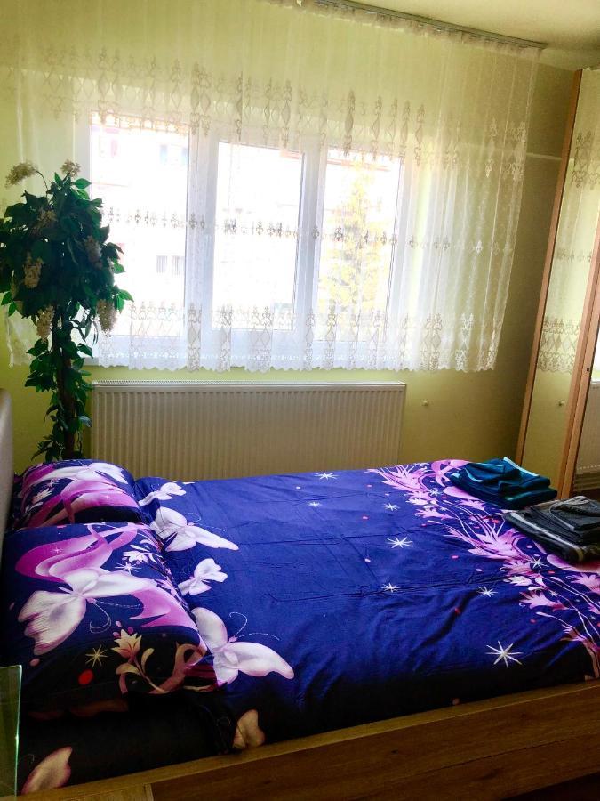 La SYMO apartament STRAJA Lupeni Lupeni  Exterior foto